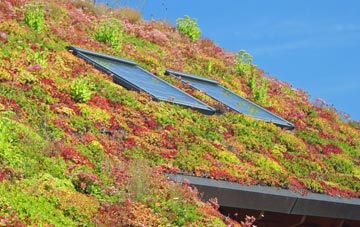 Burntcommon living roof systems