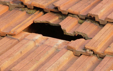 roof repair Burntcommon, Surrey